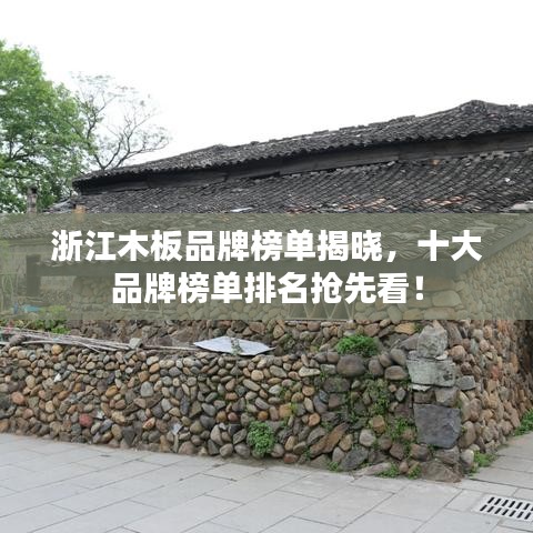 百不得一 第2页