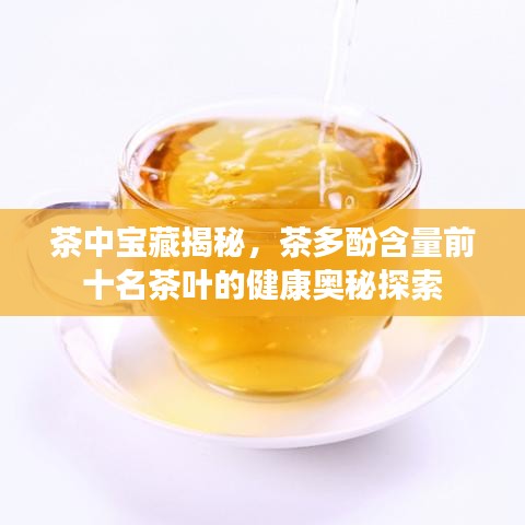茶中宝藏揭秘，茶多酚含量前十名茶叶的健康奥秘探索