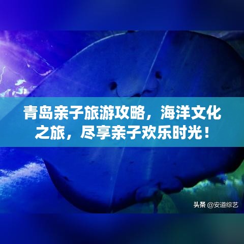 青岛亲子旅游攻略，海洋文化之旅，尽享亲子欢乐时光！