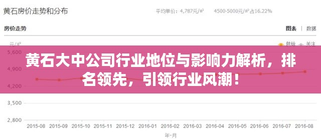 黄石大中公司行业地位与影响力解析，排名领先，引领行业风潮！