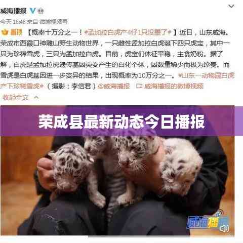 荣成县最新动态今日播报