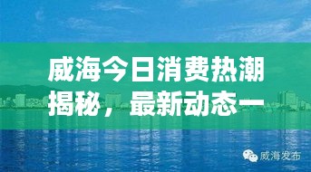 威海今日消费热潮揭秘，最新动态一网打尽