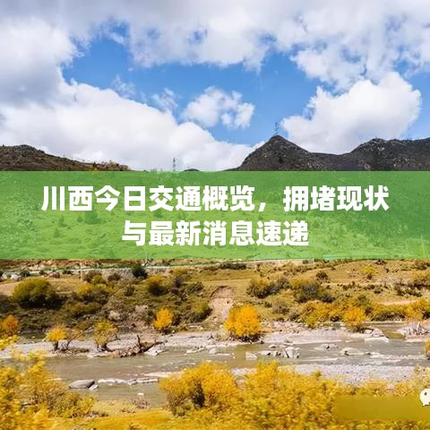 有张没智 第2页