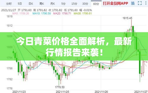 今日青菜价格全面解析，最新行情报告来袭！