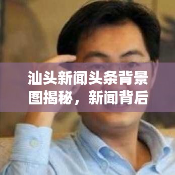 穷鸟入怀 第2页