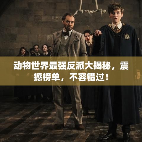动物世界最强反派大揭秘，震撼榜单，不容错过！