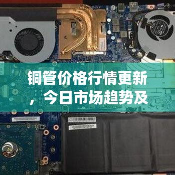 冰清玉洁 第2页