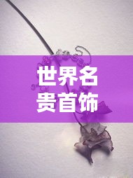 映月读书 第3页