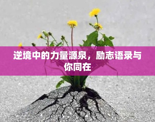 黑天摸地 第2页