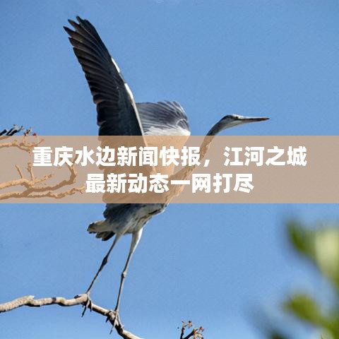 初告白 第2页