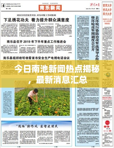 反朴还淳 第2页