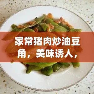 家常猪肉炒油豆角，美味诱人，一学就会！