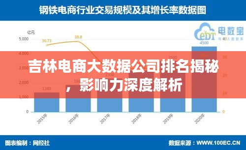 吉林电商大数据公司排名揭秘，影响力深度解析