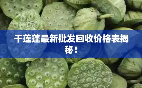 矢志不渝 第2页