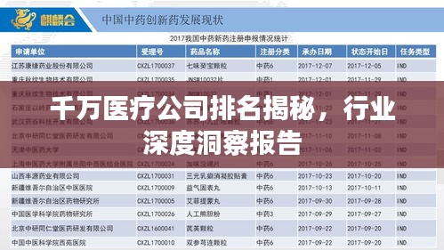 千万医疗公司排名揭秘，行业深度洞察报告