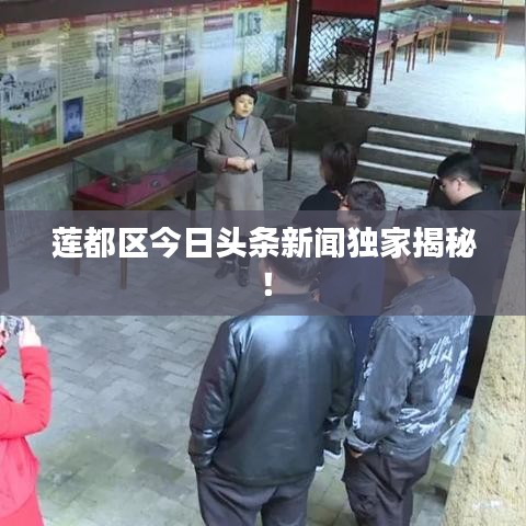 莲都区今日头条新闻独家揭秘！