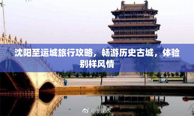 新闻 第186页
