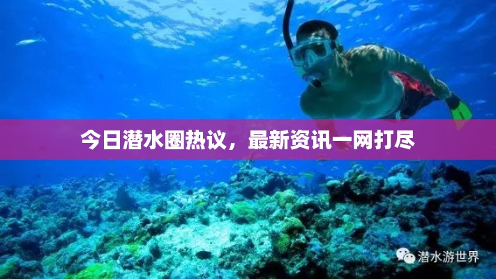 今日潜水圈热议，最新资讯一网打尽