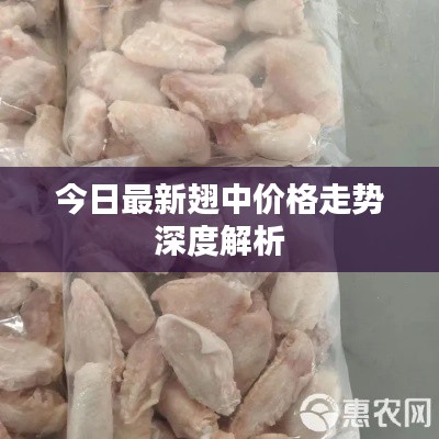 今日最新翅中价格走势深度解析