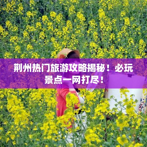 雍容华贵 第2页