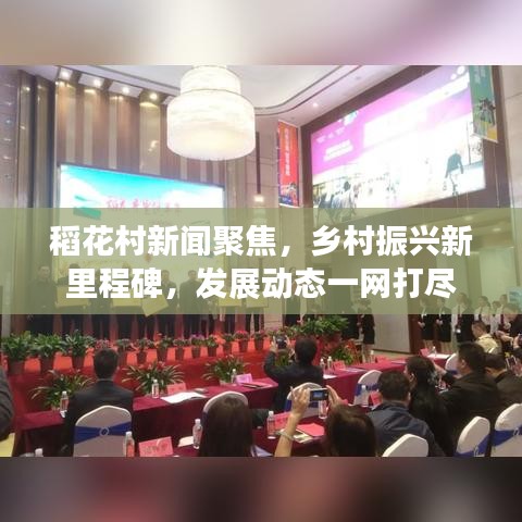 稻花村新闻聚焦，乡村振兴新里程碑，发展动态一网打尽