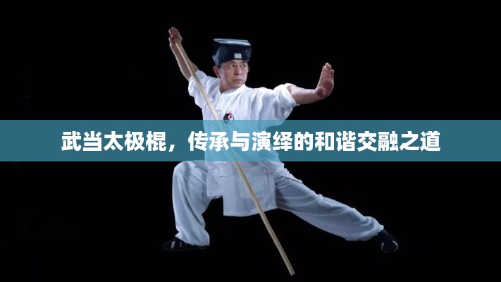 武当太极棍，传承与演绎的和谐交融之道