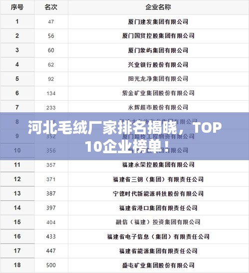 河北毛绒厂家排名揭晓，TOP 10企业榜单！