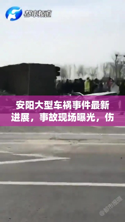 衣不重彩 第2页