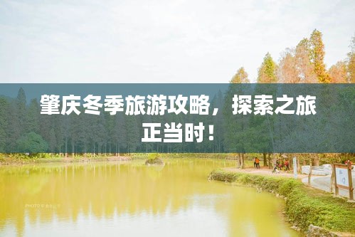 肇庆冬季旅游攻略，探索之旅正当时！