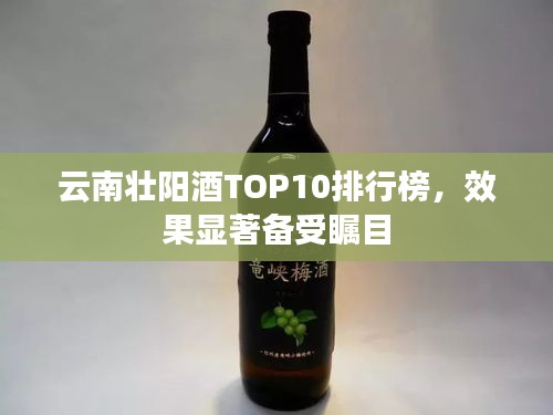放浪形骸 第2页