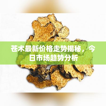 苍术最新价格走势揭秘，今日市场趋势分析
