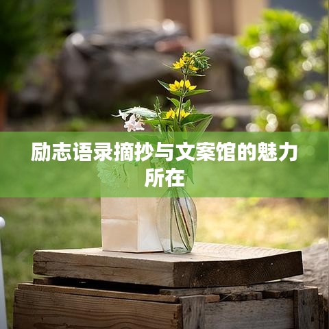 励志语录摘抄与文案馆的魅力所在