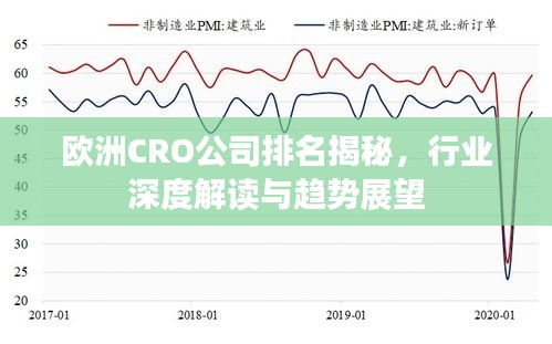 欧洲CRO公司排名揭秘，行业深度解读与趋势展望