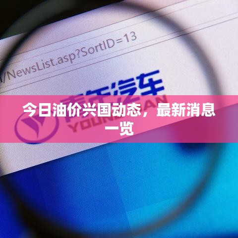 笼鸟槛猿 第2页