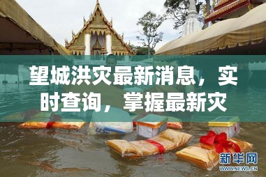 望城洪灾最新消息，实时查询，掌握最新灾情动态