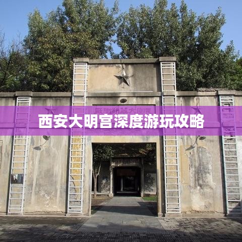 西安大明宫深度游玩攻略