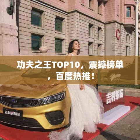 功夫之王TOP10，震撼榜单，百度热推！