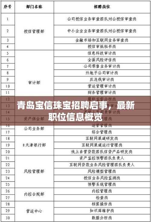 青岛宝信珠宝招聘启事，最新职位信息概览