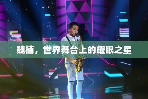 魏楠，世界舞台上的耀眼之星