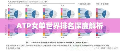 ATP女单世界排名深度解析