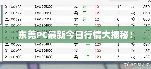 东莞PC最新今日行情大揭秘！