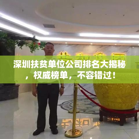 深圳扶贫单位公司排名大揭秘，权威榜单，不容错过！