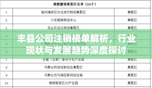 丰县公司注销榜单解析，行业现状与发展趋势深度探讨