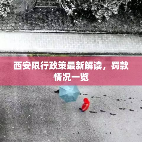 漫天飞舞 第2页