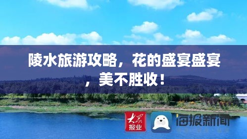 陵水旅游攻略，花的盛宴盛宴，美不胜收！
