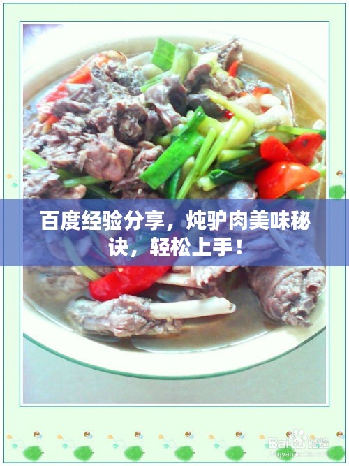百度经验分享，炖驴肉美味秘诀，轻松上手！