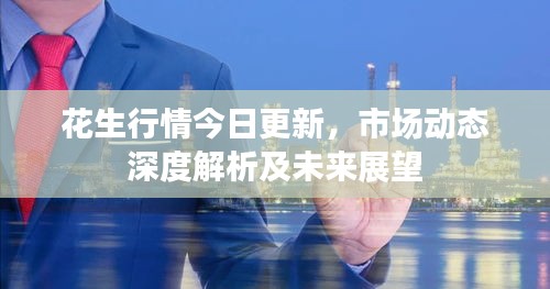 花生行情今日更新，市场动态深度解析及未来展望