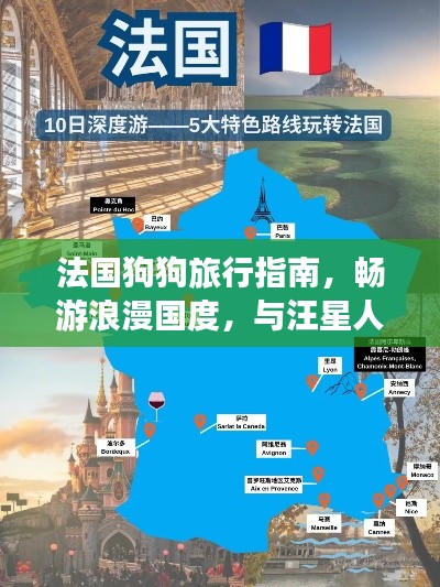 法国狗狗旅行指南，畅游浪漫国度，与汪星人的完美假期