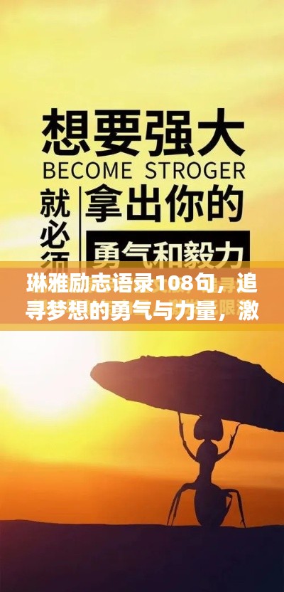 琳雅励志语录108句，追寻梦想的勇气与力量，激发无限潜能！