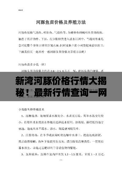 新湾河豚价格行情大揭秘！最新行情查询一网打尽